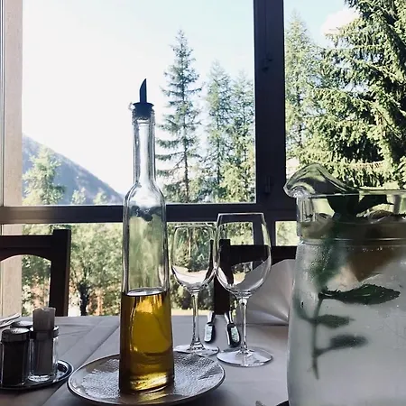 ホテル Regina Terme ロイカーバード