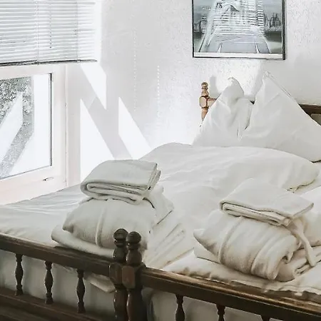 ホテル Regina Terme ロイカーバード