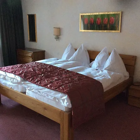 فندق Regina Terme 3*
