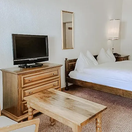 فندق Regina Terme لوكباد