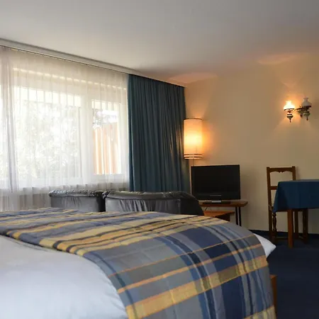 ホテル Regina Terme ロイカーバード