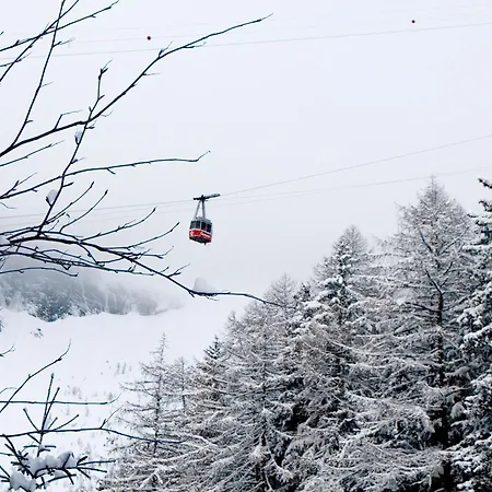 Regina Terme ロイカーバード