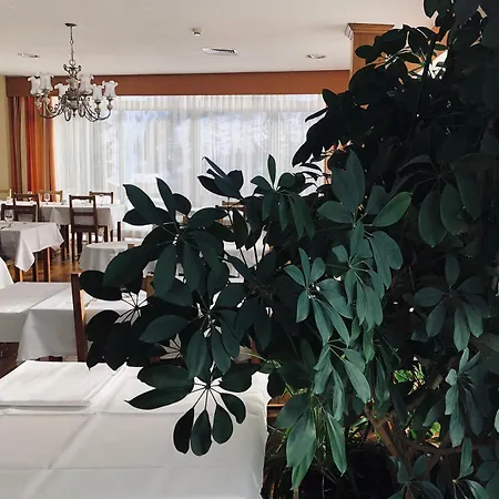Regina Terme لوكباد