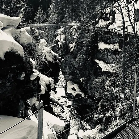 Regina Terme ホテル